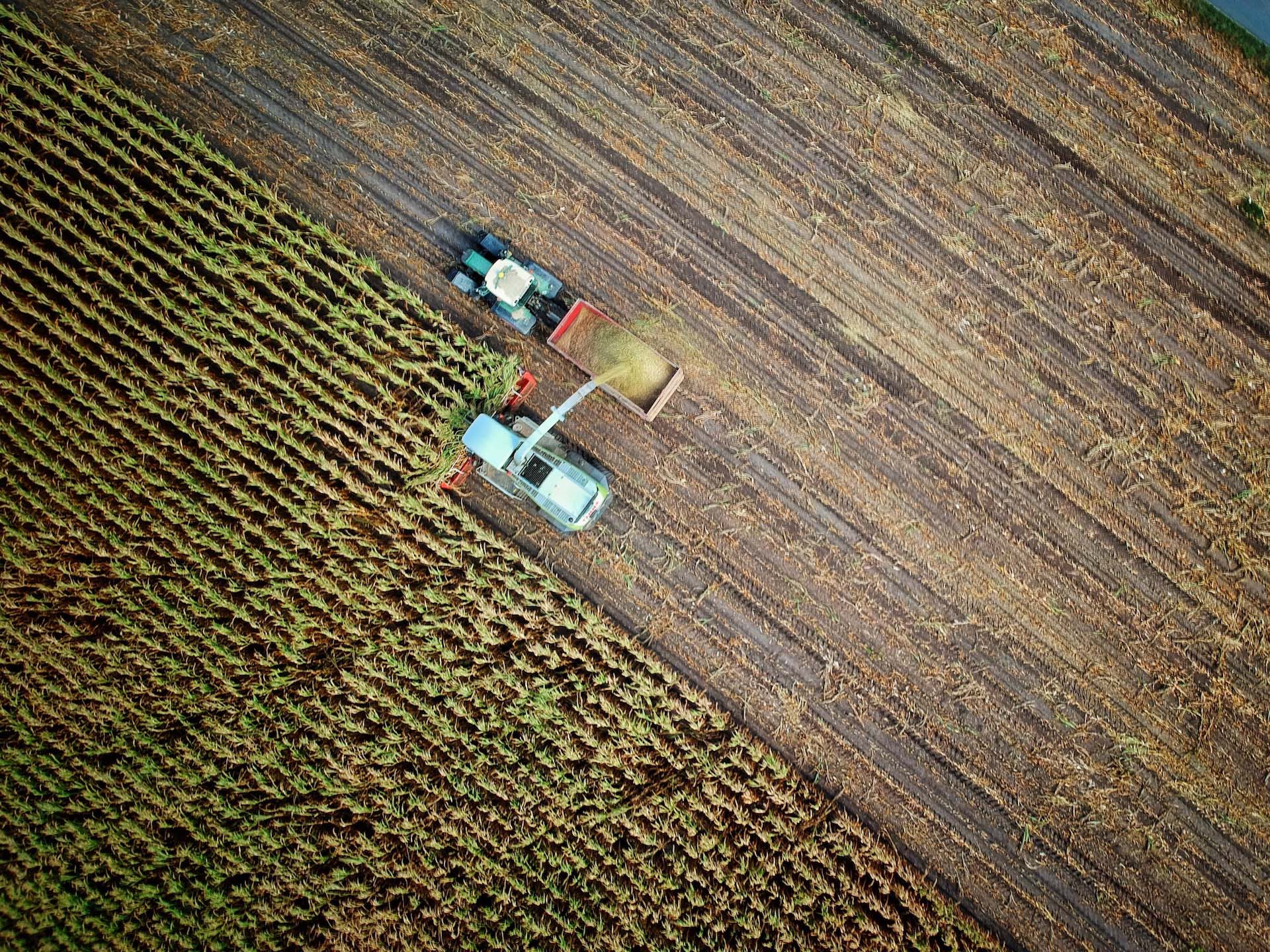 Intra-Agri Banner Image