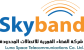 Sky Band Logo
